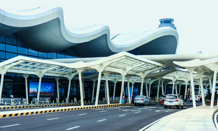 Mezinárodní letiště Nanjing Lukou
